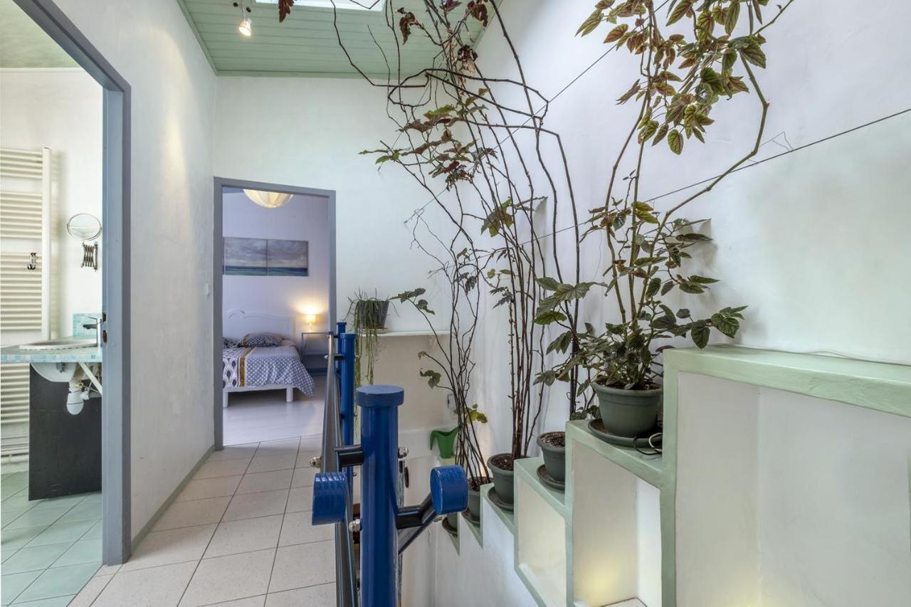 Appartamento Les Volets Bleus T3 De 80 M2 Patio Privatif Rochefort  Esterno foto